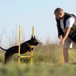 The Ultimate Guide to Pet Fitness