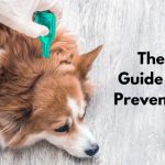The Ultimate Guide to Parasite Prevention