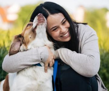 What Every Pet Owner Should Know About Pet Mental Health