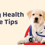 Top 13 Tips for Pet Health