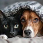 Top 10 Tips for Pet Mental Health That Every Owner Should Know