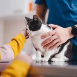 What Every Pet Owner Should Know About Veterinary Advice