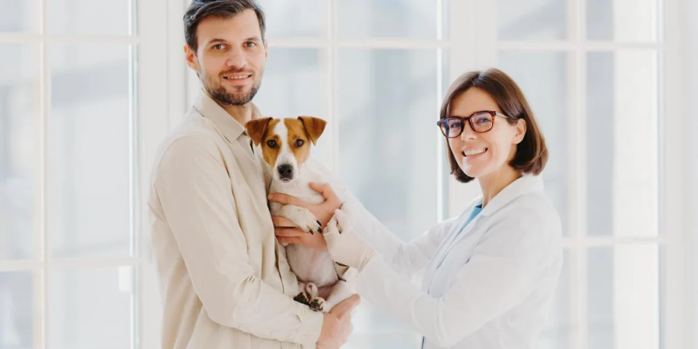 Expert Advice on Seasonal Pet Care: Keep Your Pet Healthy Year-Round