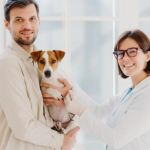 Expert Advice on Seasonal Pet Care: Keep Your Pet Healthy Year-Round