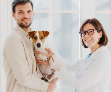 Expert Advice on Seasonal Pet Care: Keep Your Pet Healthy Year-Round