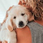 The Ultimate Guide to Pet Safety: Protecting Your Pet Every Day