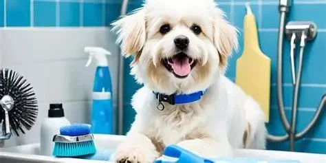 Expert Advice on Pet Grooming: Tips for Healthy, Happy Pets