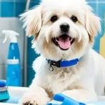 Expert Advice on Pet Grooming: Tips for Healthy, Happy Pets