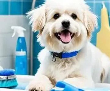 Expert Advice on Pet Grooming: Tips for Healthy, Happy Pets