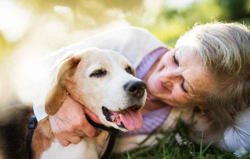 Top 8 Tips for Pet Aging: How to Care for Your Senior Pet with Love and Knowledge