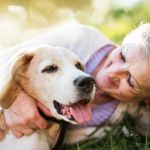Top 8 Tips for Pet Aging: How to Care for Your Senior Pet with Love and Knowledge