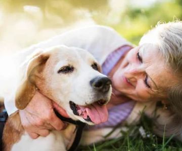 Top 8 Tips for Pet Aging: How to Care for Your Senior Pet with Love and Knowledge