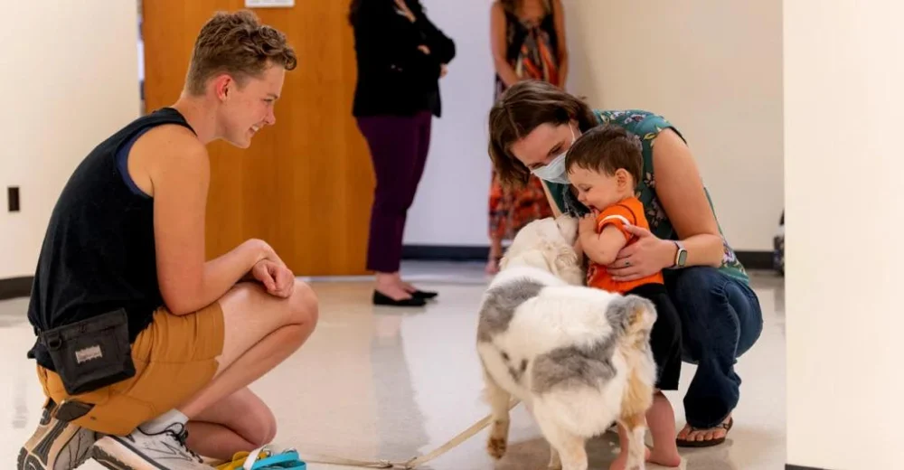 Beginner's Guide to Pet Safety | Essential Tips for a Safe Pet Home