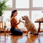 Beginner's Guide to Pet Behavior: Understanding and Improving Your Pet's Actions