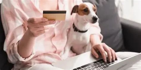 The Dos and Don'ts of Pet Adoption in the UK