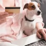 The Dos and Don'ts of Pet Adoption in the UK