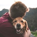 Common Mistakes in Pet Behavior and How to Avoid Them