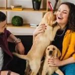 Top 10 Tips for Pet Mental Health Every Pet Owner Should Know