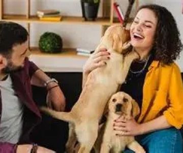Top 10 Tips for Pet Mental Health Every Pet Owner Should Know