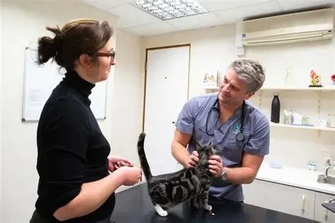 Pet Travel: What Vets Want You to Know Before You Go