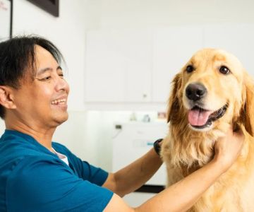 What Every Pet Owner Should Know About Parasite Prevention