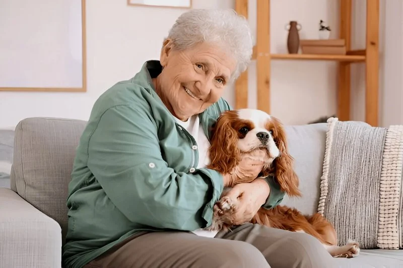 Pet Aging: What Vets Want You to Know for Better Senior Pet Care