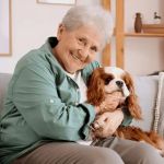 Pet Aging: What Vets Want You to Know for Better Senior Pet Care