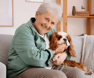Pet Aging: What Vets Want You to Know for Better Senior Pet Care
