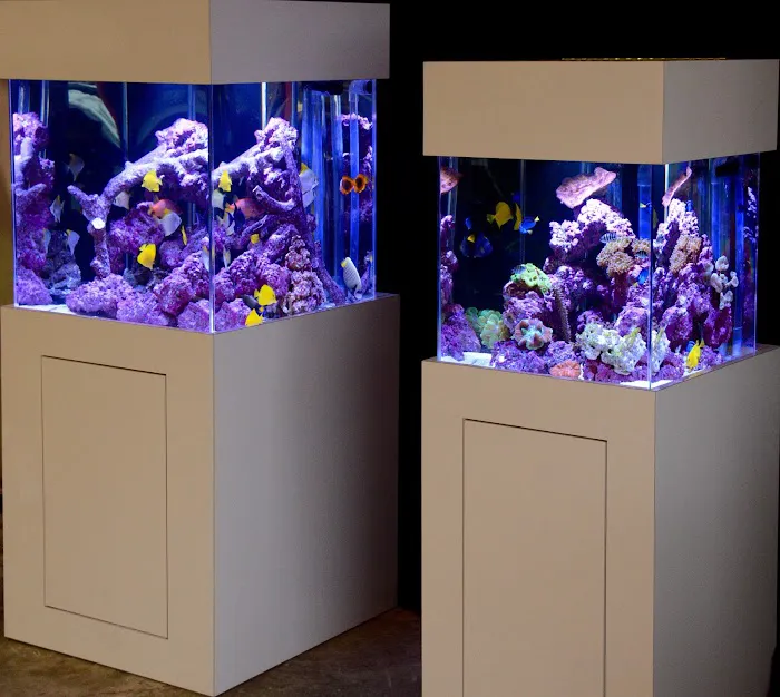 Reef Bar Aquarium Services Picture 3