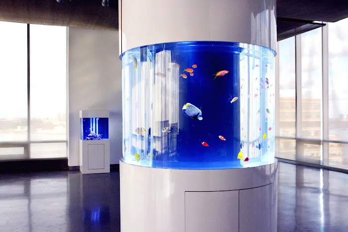 Reef Bar Aquarium Services Picture 7