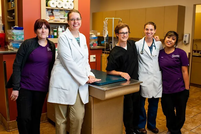 Community Veterinary Partners Picture 2