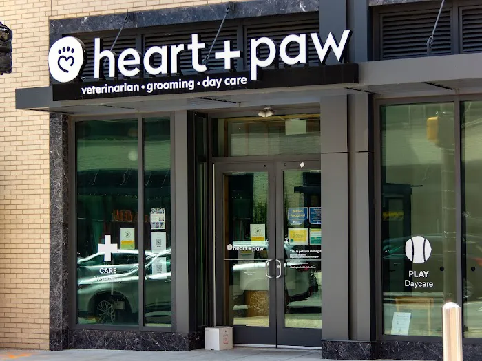 Heart + Paw Picture 7