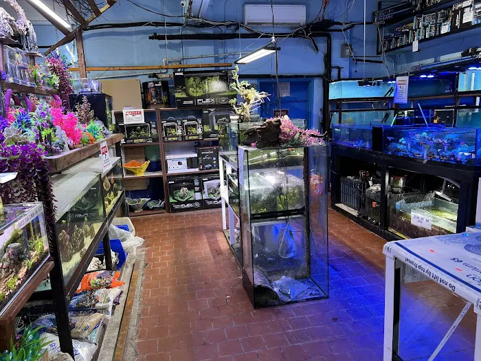 Pacific Aquarium & Plant Picture 4
