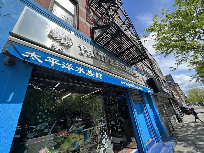 Pacific Aquarium & Plant Picture 2
