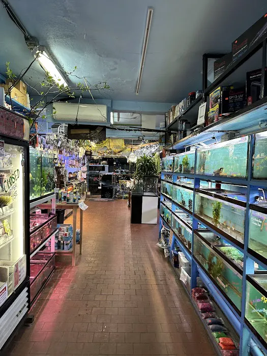Pacific Aquarium & Plant Picture 1