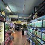 Pacific Aquarium & Plant