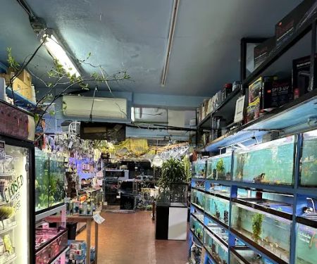 Pacific Aquarium & Plant