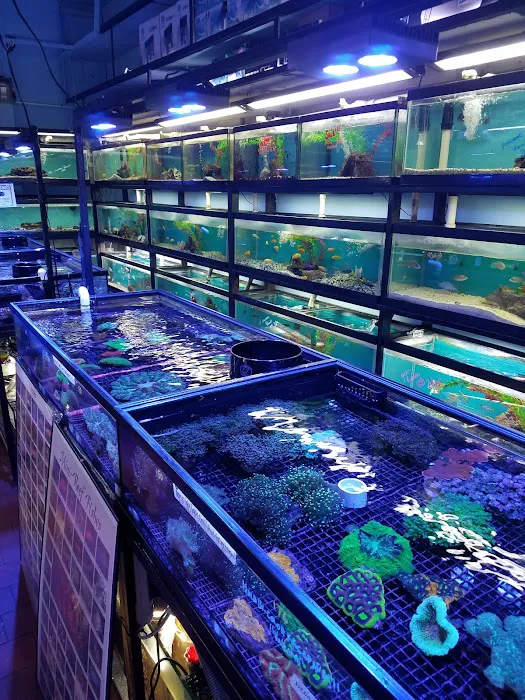 Pacific Aquarium & Plant Picture 3