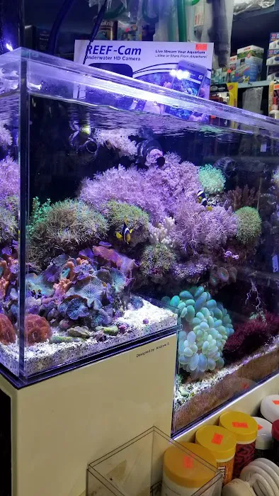 Pacific Aquarium & Plant Picture 6