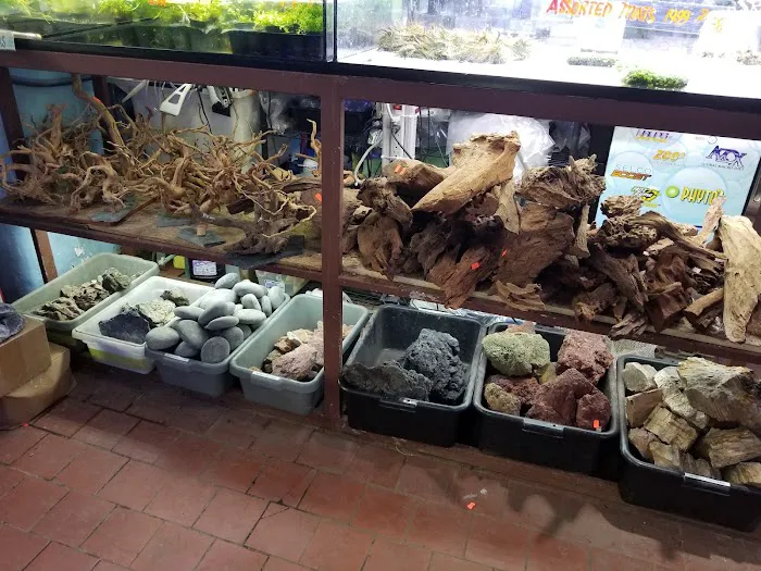 Pacific Aquarium & Plant Picture 5
