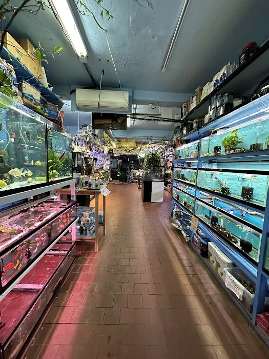 Pacific Aquarium & Plant Picture 8