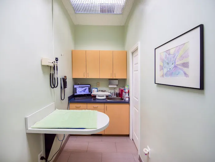 VCA Cat Hospital of Philadelphia Picture 6