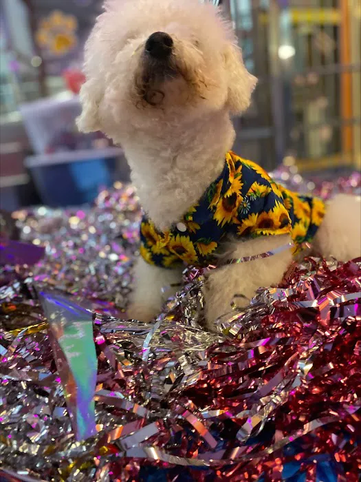 Happy Paws Pet Resort Picture 6