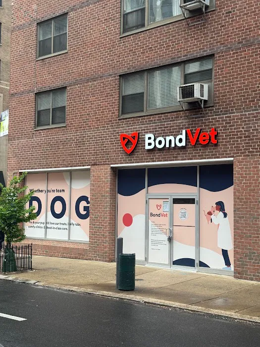 Bond Vet - Rittenhouse Picture 1