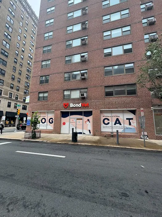 Bond Vet - Rittenhouse Picture 3