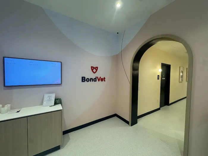 Bond Vet - Rittenhouse Picture 6