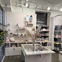 Le Chien Bleu NY pet boutique ico