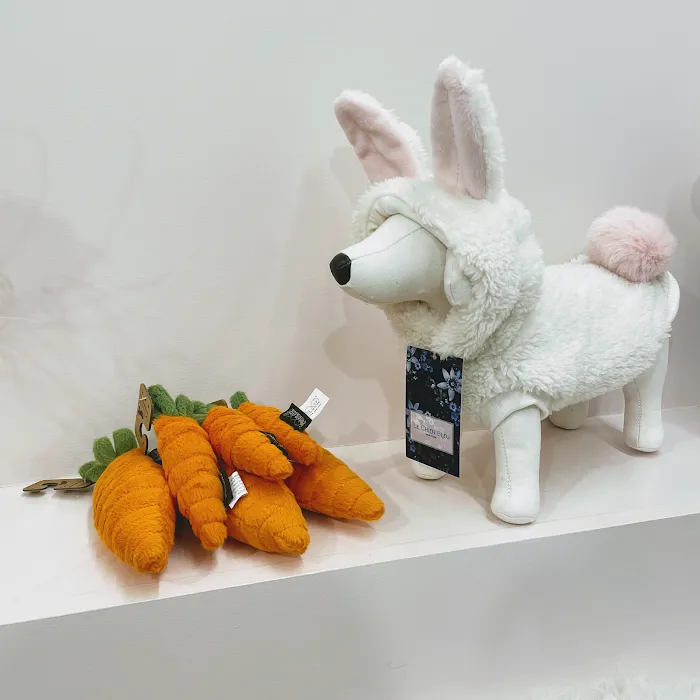 Le Chien Bleu NY pet boutique Picture 10