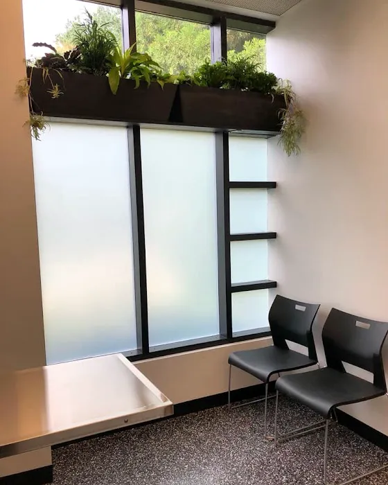 Art City Vets Wellness Center Picture 4