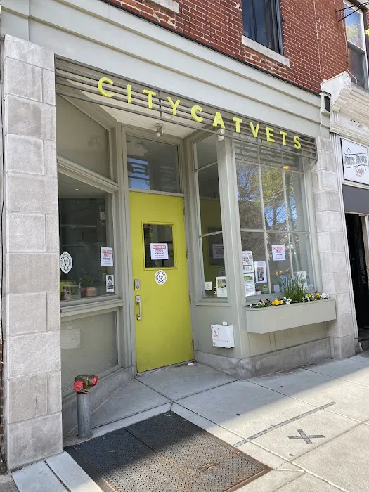 City Cat Vets Picture 1